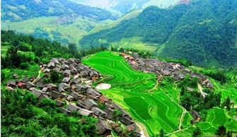 稻田惊现神秘水柱，贵州黔南奇景引发地质界关注
