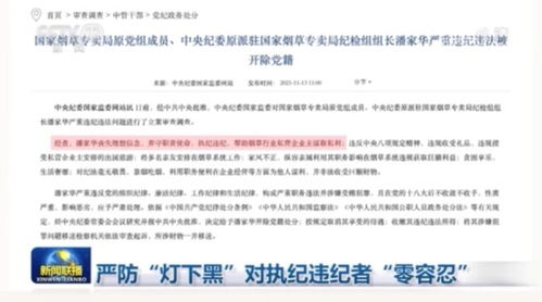 中央纪委通报文件截图