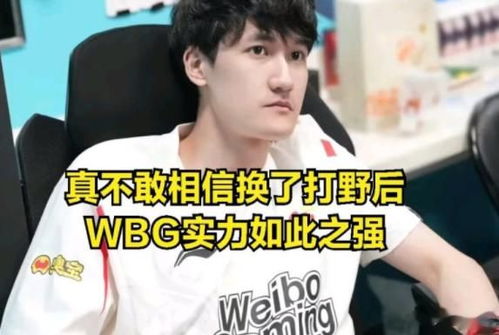 WBG逆袭JDG谁该背锅？粉丝热议：选手还是教练？
