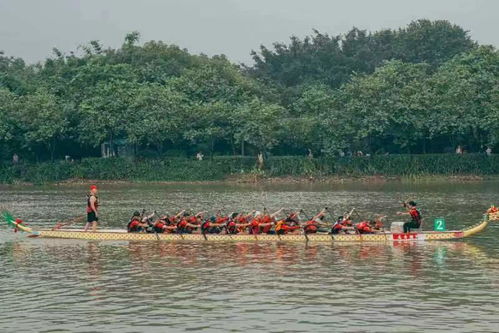 抖音博主勇闯房东龙舟赛，真实背后的故事令人捧腹又感动