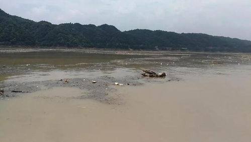 水落石出！河南一水库惊现千年佛窟，背后真相令人动容