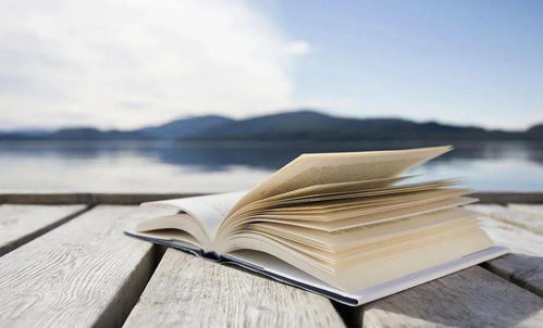 一个人在电脑前写作的背影