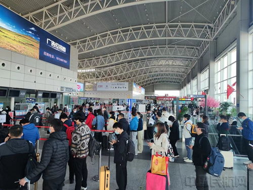 机场旅客办理登机手续场景