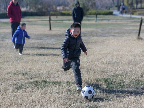 孩子们在草地上踢球