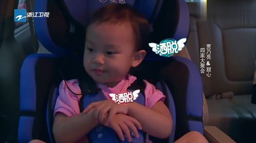 贾乃亮与甜馨车内合影