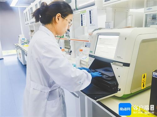 科研人员在实验室进行实验