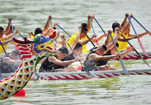 广州龙舟赛征婚牌特写