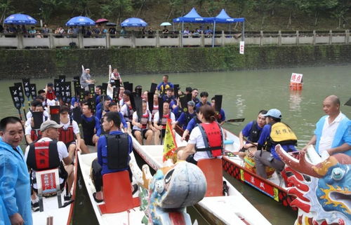 今年赛龙舟名场面：全民沸腾的端午狂欢，我亲历的热血瞬间