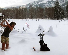 冬夏女王死了？微博热搜引爆全网，真相令人震惊！