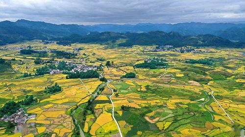 贵州黔南稻田水柱喷发瞬间