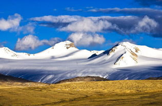 为省30块命丧高原 我和卡车司机的生死青藏线