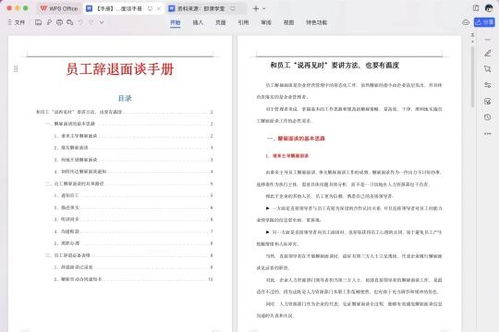 办公室内HR整理人事档案