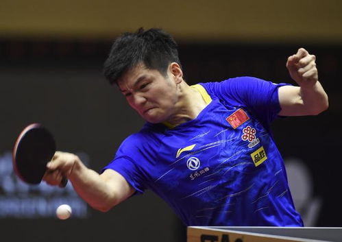 樊振东加盟德甲联赛？本人亲自回应！从乒乓球到足球，他到底在做什么？