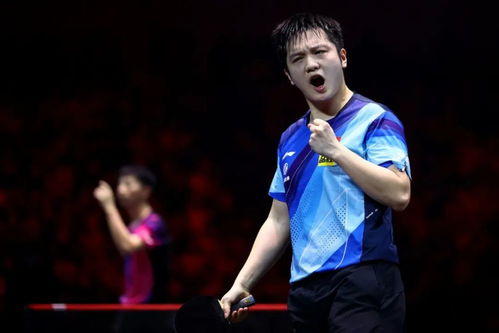 樊振东新年微博截图