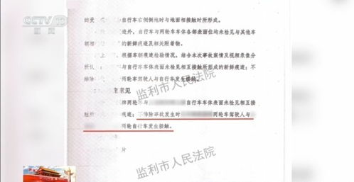 法庭外景或法律文件特写