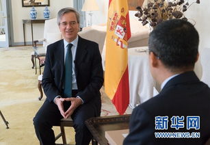 中国驻埃及大使接受采访现场