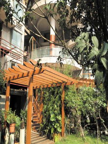 8旬老人砍香樟树两年无人管，小区绿化变私人花园引争议