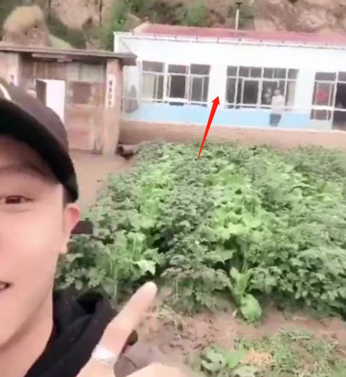 王晨正在爷爷墓前祭拜