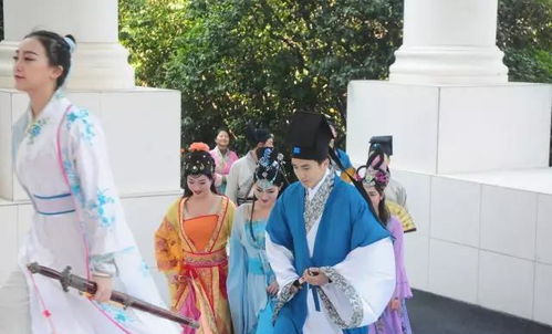 曹公公怎么这么难杀？网友热议背后的真实故事