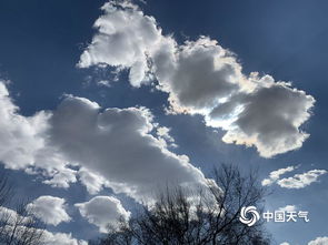 深圳关于6月1日不许下雨的通知？真相原来是这样！