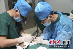 植发手术现场示意图