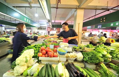 2025简书爆文热点追踪：一个普通创作者的真实逆袭故事