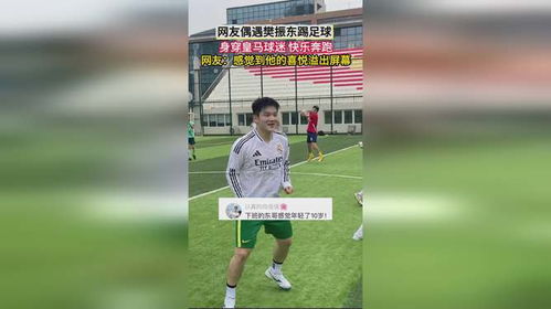 樊振东加盟德甲联赛幕后揭秘：德国俱乐部称‘一切来得太突然’