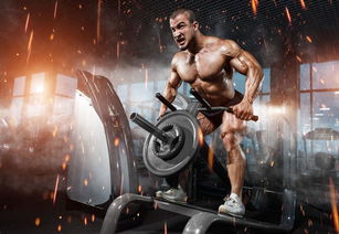 雷军健身房打卡