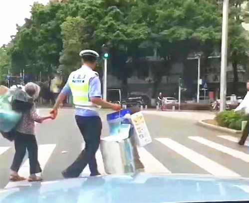 老人牵狗走过斑马线