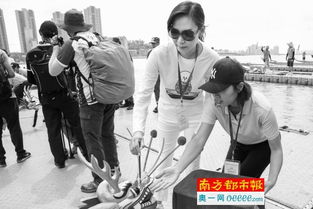 被龙舟赛的最后冲刺燃到了！我亲历传统与激情的碰撞