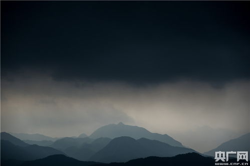 亲眼目睹广告牌被大风吹卷，我的城市一夜之间变了模样