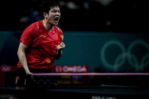 樊振东与莫雷加德握手合影