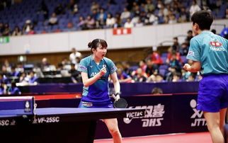 樊振东跨界亮相欧冠决赛，或将改变德国乒坛格局？