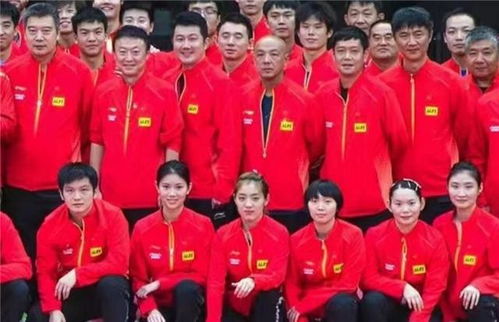 球迷手持樊振东应援牌