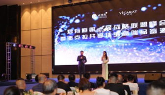 高端酒会现场布置及品鉴场景