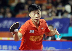 樊振东：从乒乓球冠军到MLB荣耀大使，他的新挑战才刚刚开始