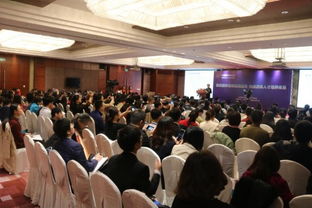 东北创业团队在会议室讨论IPO计划