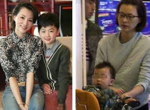 董卿与儿子同台朗读，母爱如诗般温柔绽放