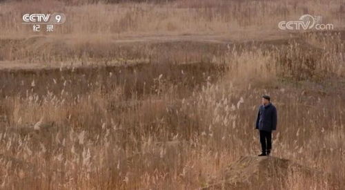 莫言：从山东高密走出的文学巨匠，他的故事比你想象中更动人