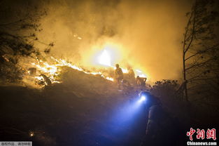 韩国山火现场消防员奋力扑救