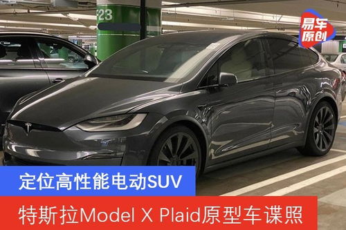 特斯拉原型车曝光！Model Y或将推出平价版，或成爆款新宠？