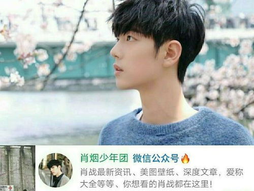 肖战张婧仪还原狐兔名场面，抖音爆火背后的默契与演技火花