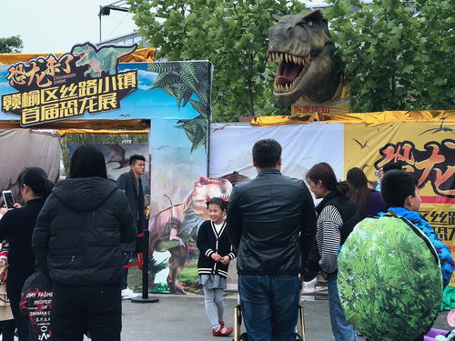家长带着孩子参观恐龙园