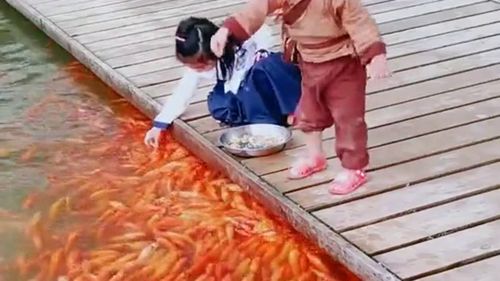 我想和你一起长大：那些年我们共同走过的成长路