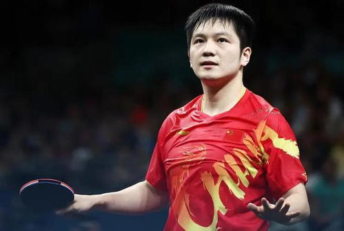 樊振东在训练场上认真挥拍的照片