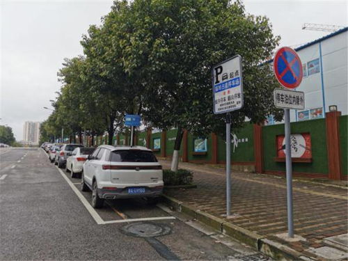 成都路边停车位实景