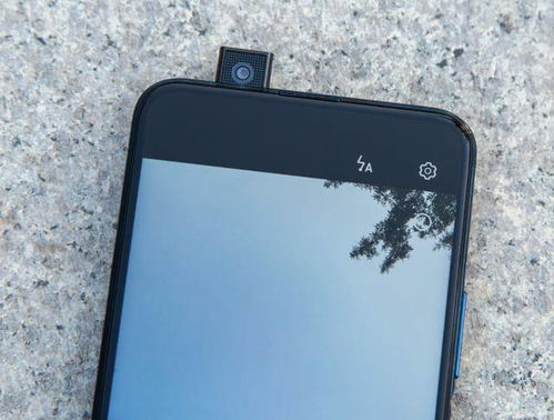 老人在家中查看诈骗信息