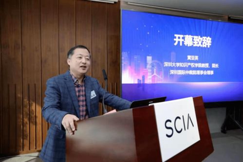 中国代表在国际调解院发言