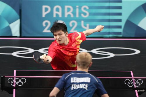 樊振东在巴黎奥运会比赛中