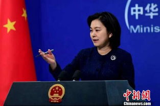 网友热议张晓刚发言